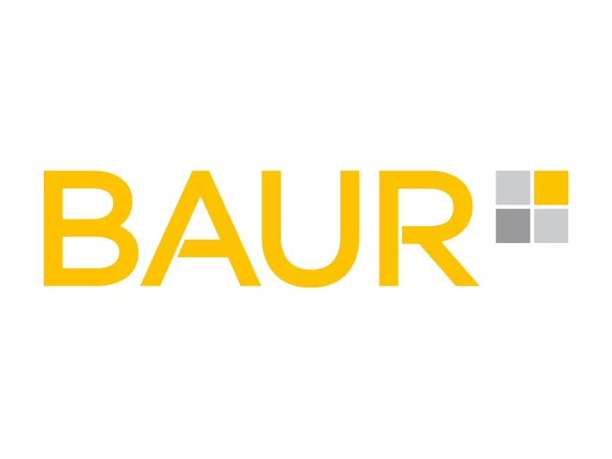 Baur: All-in-One Platform for Businesses in 2024